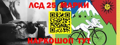индика Малгобек