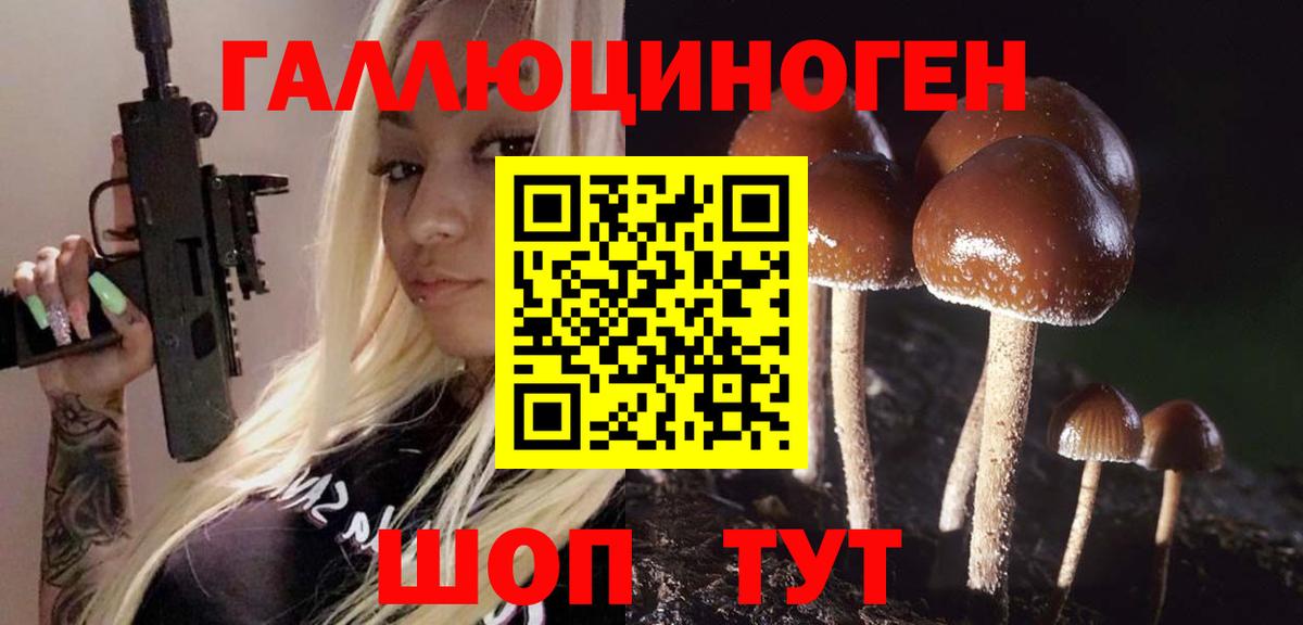 Галлюциногенные грибы Psilocybine cubensis Тавда