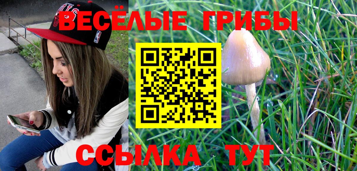 Галлюциногенные грибы ЛСД  Вход с VPN  Тавда 